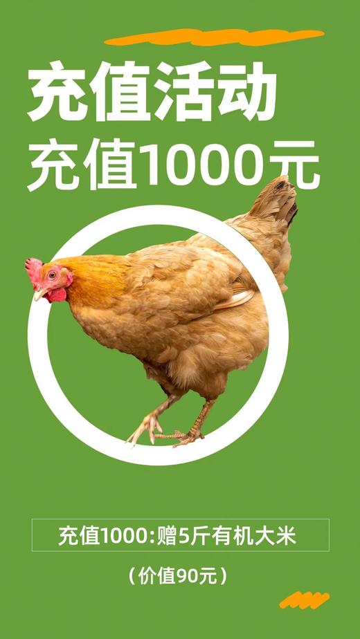 没有价格优势，只有真心与品质！【双十一充值链接】 商品图1