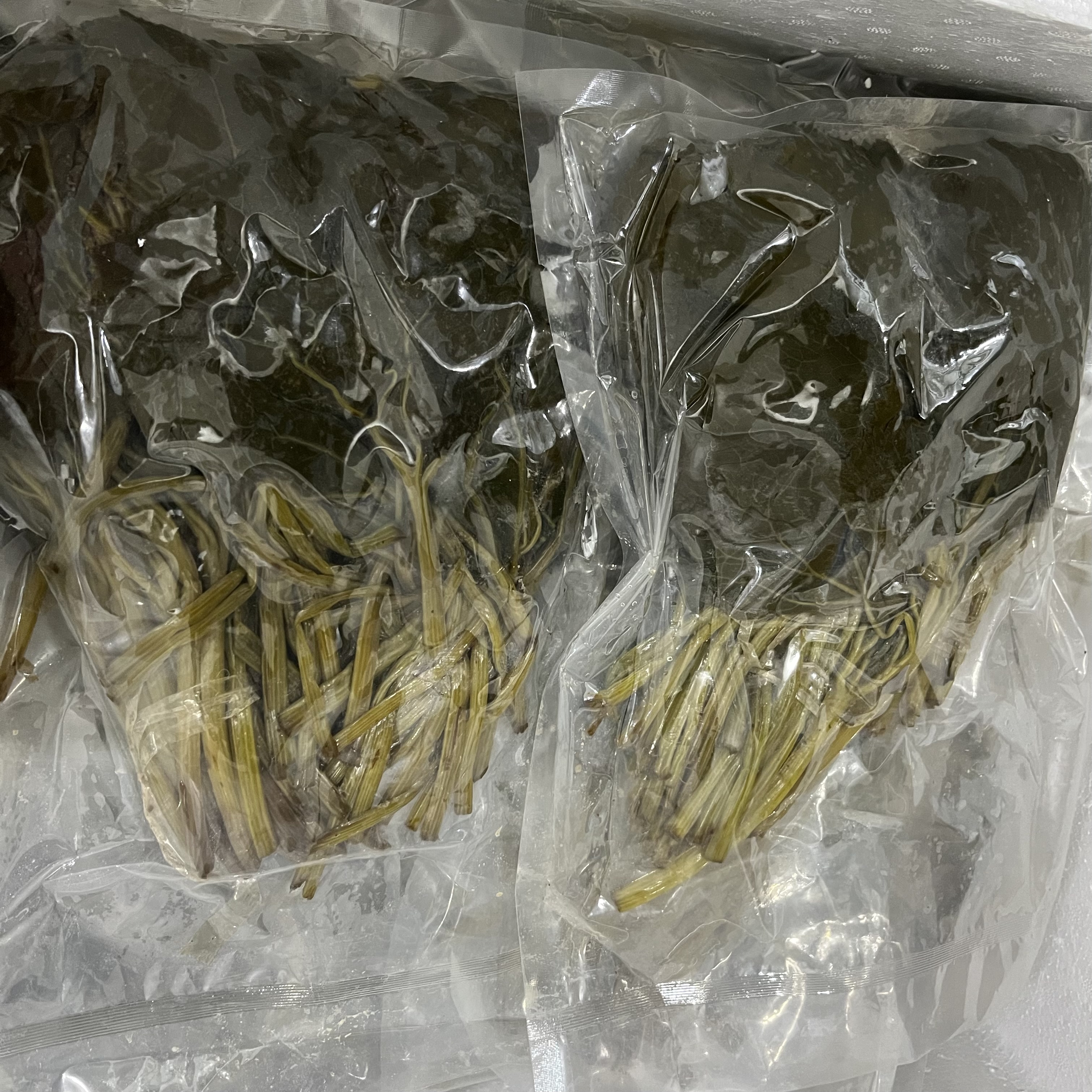 절인곰취쌈곰취马蹄叶 1kg