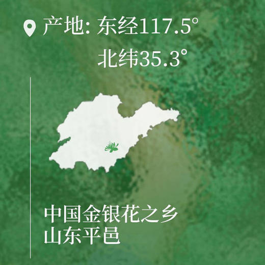 青烎 金银花露330ml 无糖型儿童成人野生纯鲜花露饮料 商品图2