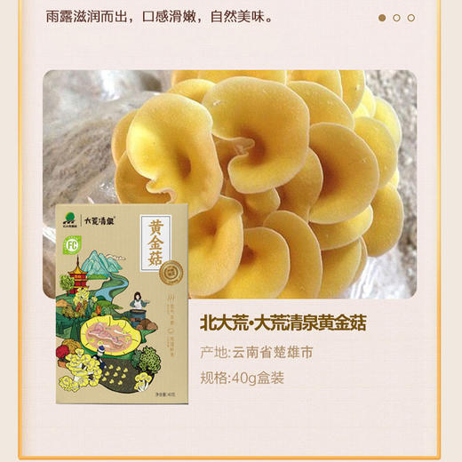 北大荒·大荒清泉五菌丰礼菌菇礼盒 商品图4