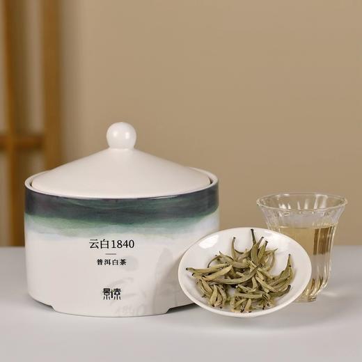 「云白1840」一口清甜蜜韵，2022年有活性的全芽头白茶（75g） 商品图0
