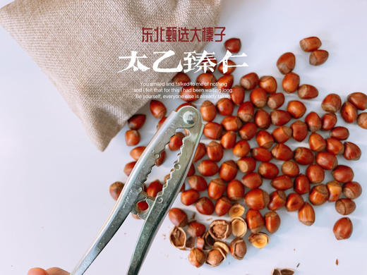 现炒现发，太乙臻仁东北大榛子 每袋500g送钳子 商品图1