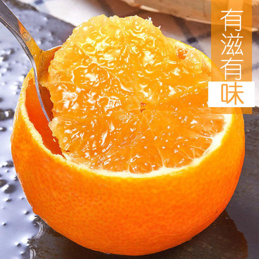 新鲜水果 爱媛38号果冻橙子5斤装  商品图0