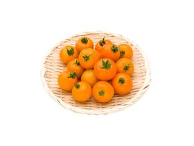 翡翠千禧（黄）