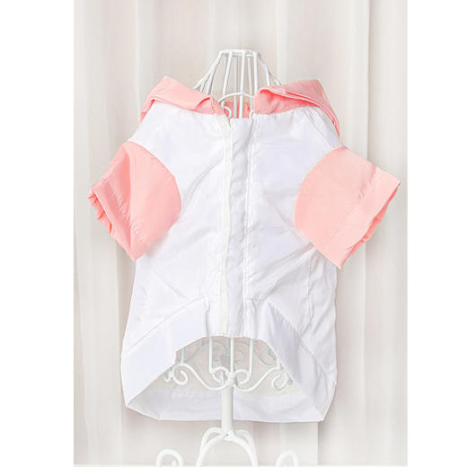 新款天使翅膀衣 两脚宠物衣服可爱风 春秋季保暖 小型犬猫适用 商品图3