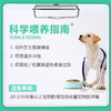 小宠肠胃宝6袋盒装 升级款 线下专供 不乱价! 一箱=48盒 拍组合装更划算！ 商品缩略图2