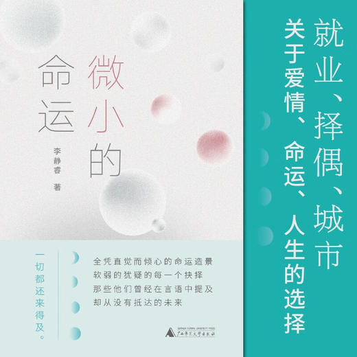 微小的命运 李静睿 著 小说 商品图2