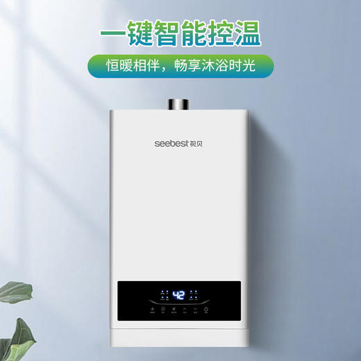 JSQ25-D13 燃气热水器 商品图0