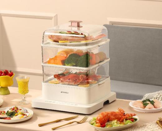 山水电蒸锅S-ZG1701 商品图0