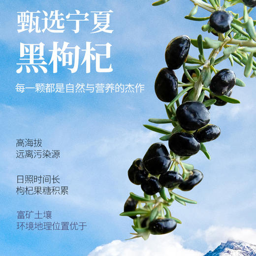 墨杞四季 黑果枸杞植物饮品30ml*7 商品图1