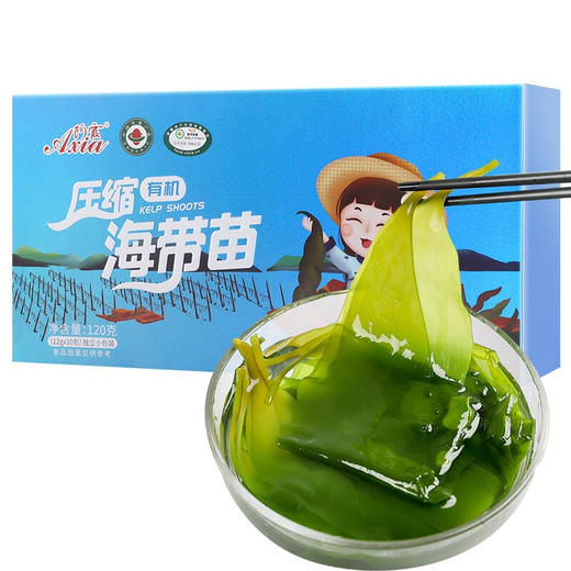 霞浦压缩有机海带苗 | 16倍泡发率 一餐一片 层层筛选晾晒风干 叶片清爽 色泽翠绿 商品图4