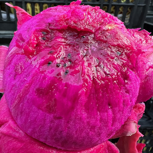 海南红心火龙果 商品图3