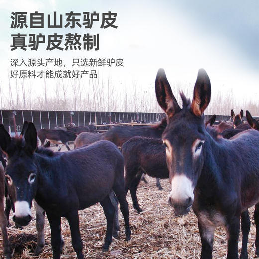 一方四季阿胶糕 10g*36 商品图2