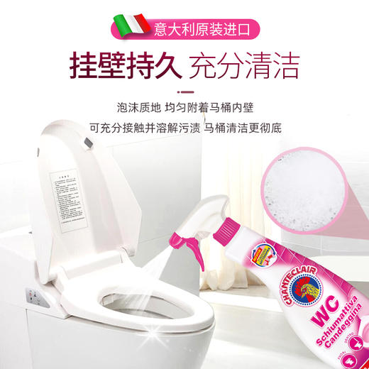 【中欧班列精选2瓶】意大利洁厕剂 大公鸡管家马桶清香去臭洁厕剂泡沫型625ml/瓶 商品图2