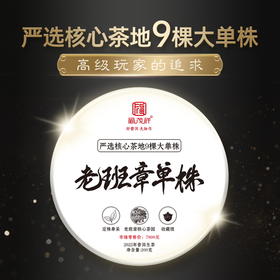 【老班章单株】2022年云南普洱生茶勐海古600老班章单株200g