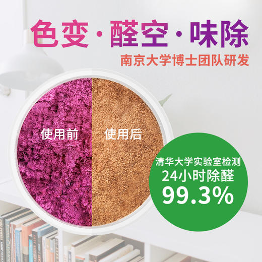 虎凤蝶醛空甲醛清除剂 新房新车除醛去除甲醛异味 商品图1