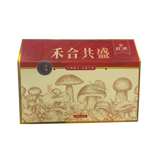 苡禾菌菇套装C 商品图1