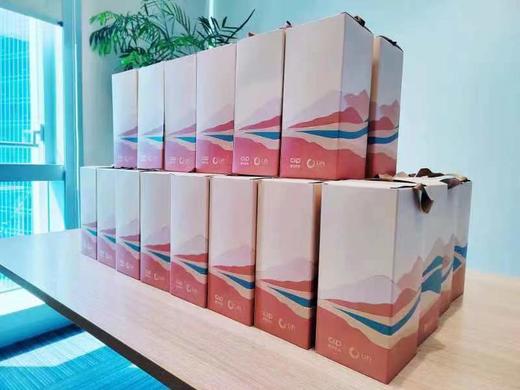 应急包商品展示 商品图2