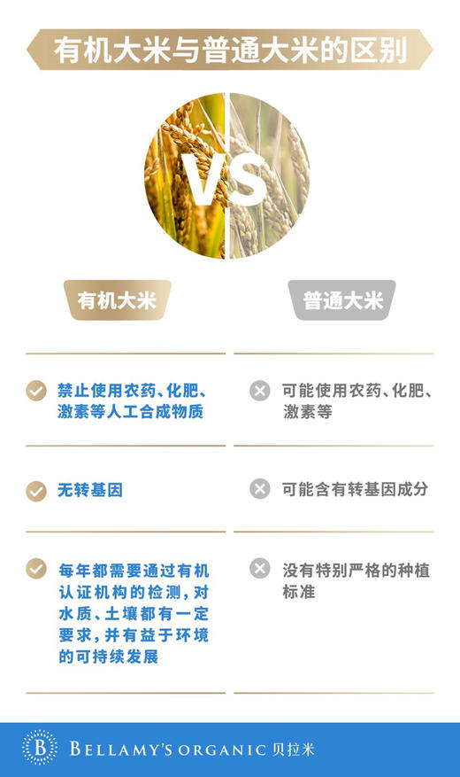 贝拉米有机婴儿大米原味燕麦南瓜香草苹果米粉米糊辅食125g（五款可选） 商品图4