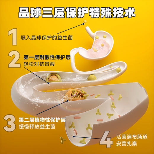 百益纯晶球益生菌1.2g*10条/盒【恒康】 商品图2