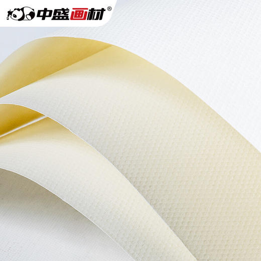 【青豆书坊】8k水粉纸160g22张/袋 商品图1