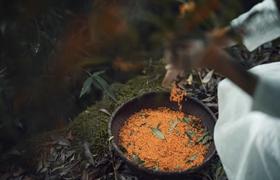 【野生桂花 】桐庐山涧  野生桂花  自然晾干// 做桂花糕、蒸馒头、做甜品，装点你的生活~