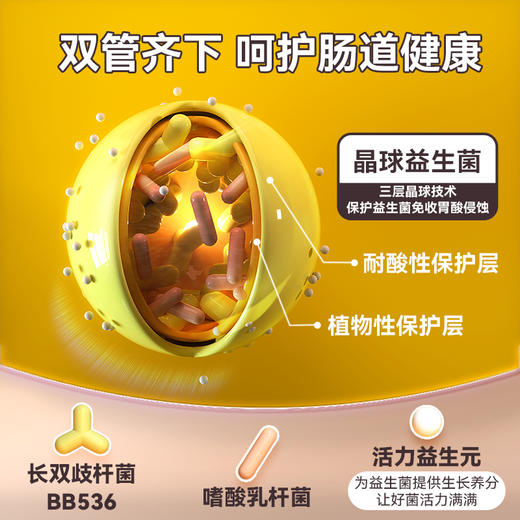 百益纯晶球益生菌1.2g*10条/盒 1盒分享【分销专享链接】 商品图1