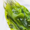 霞浦压缩有机海带苗 | 16倍泡发率 一餐一片 层层筛选晾晒风干 叶片清爽 色泽翠绿 商品缩略图6
