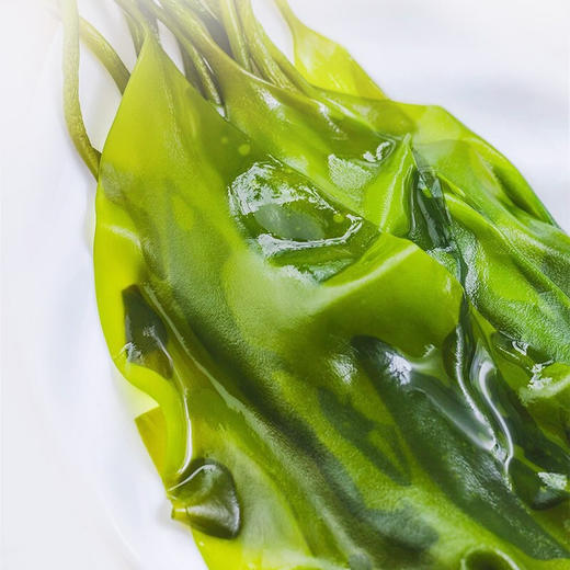 霞浦压缩有机海带苗 | 16倍泡发率 一餐一片 层层筛选晾晒风干 叶片清爽 色泽翠绿 商品图6