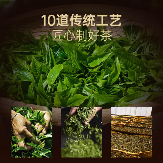 华祥苑茶叶 上合之和七十年代普洱茶生茶云南黑茶礼盒装42g 商品图8