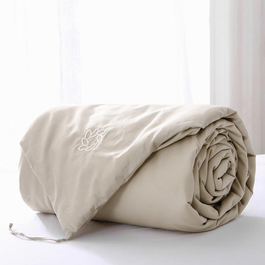 环保桑蚕丝被芯 0.5/1.0/1.5/2.0kg 商品图3