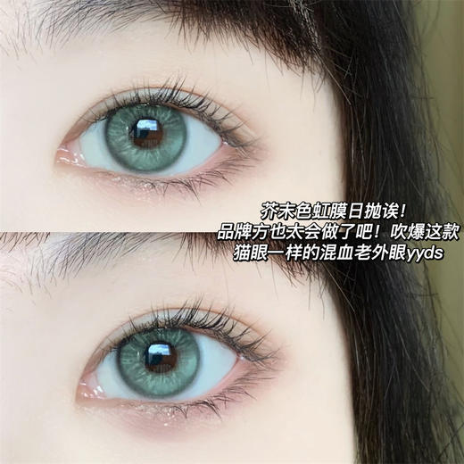 BOLLYCON  莱琳青灰日抛(10片装/盒) 商品图1