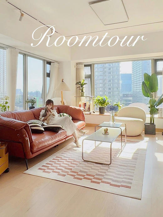 优立可机洗地毯客厅耐脏易打理INS北欧风卧室可水洗防潮地暖地毯 女王卷系列 商品图0