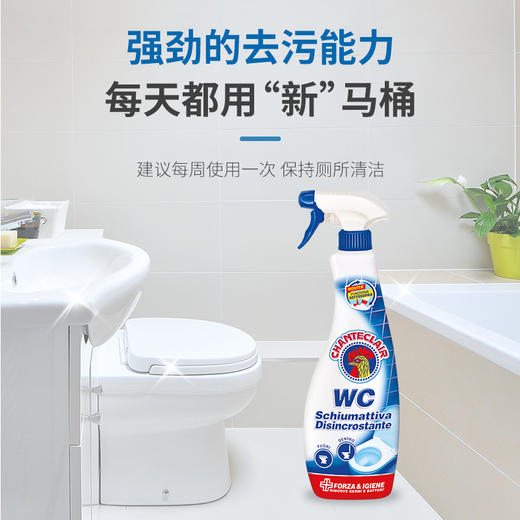【中欧班列精选2瓶】意大利洁厕剂 大公鸡管家马桶清香去臭洁厕剂泡沫型625ml/瓶 商品图11
