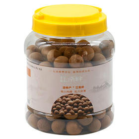 新货桂圆干罐装500g现货 福建莆田核小肉厚龙眼干