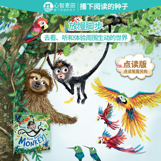 慢慢来，小猴子 Slow Down, Monkey（1本） 商品图0