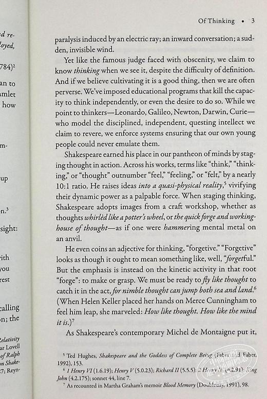 预售 【中商原版】如何像莎士比亚那样思考 文艺复兴教育的教训 英文原版 How to Think Like Shakespeare Scott Newstok 商品图7