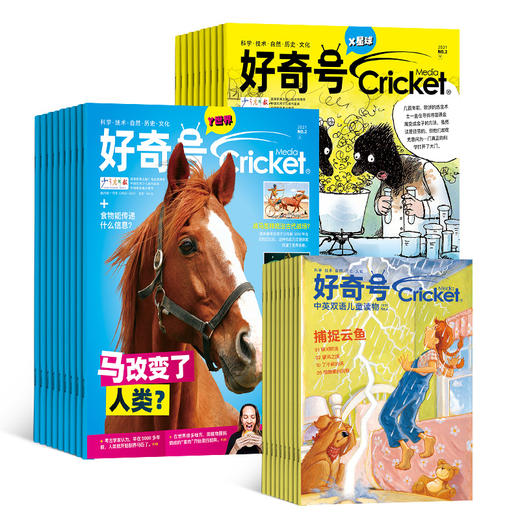 预售90天发货 《好奇号》2023年全年12期 商品图0