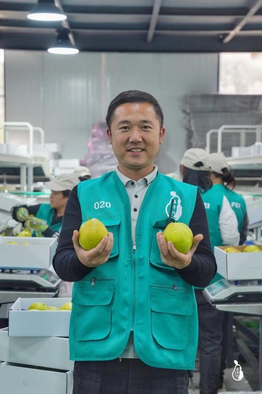 玉露梨香梨 礼盒10枚装大果 商品图10