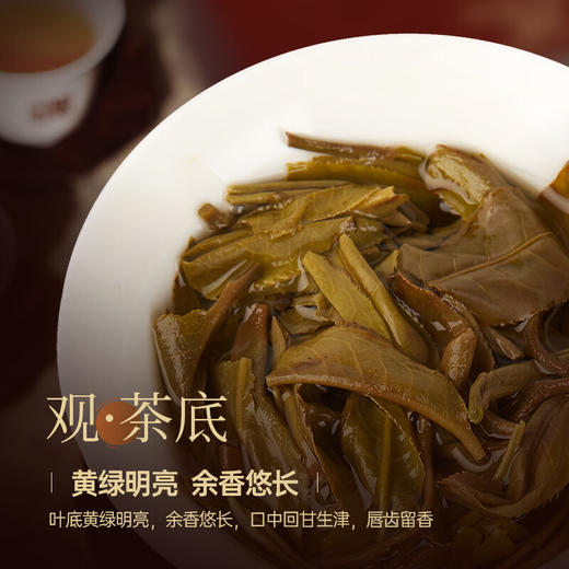 华祥苑茶叶 上合之和七十年代普洱茶生茶云南黑茶礼盒装42g 商品图5