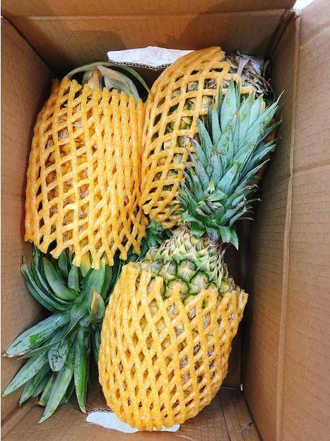 泰子凤梨一箱（拼团） 商品图1