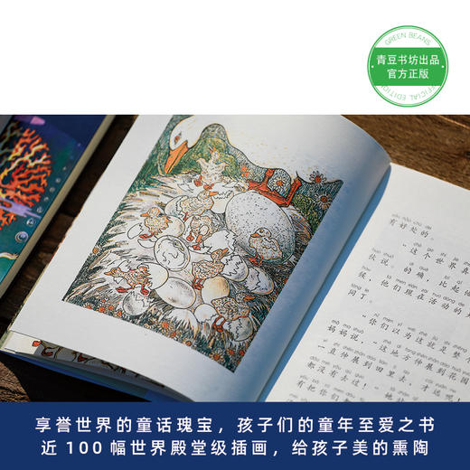 安徒生童话精选 +安徒生奇迹人生 童文学经典名著 商品图4