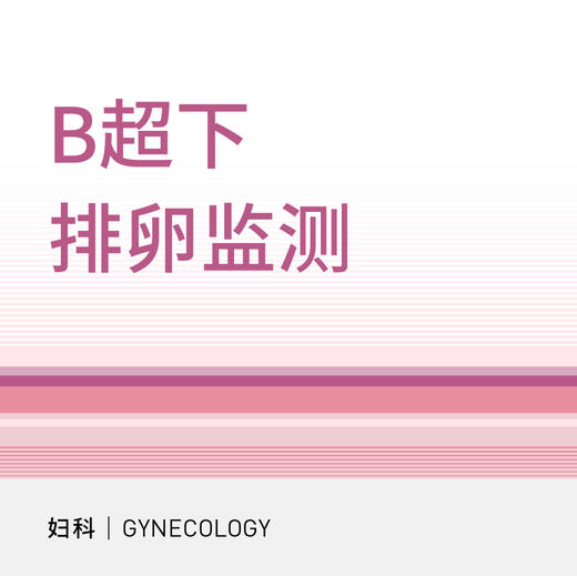排卵监测超声检查套餐 商品图0