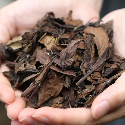茶叶 福鼎白茶 老白茶 寿眉散茶 3年老寿眉 茶饮  五虎 350g 商品图2