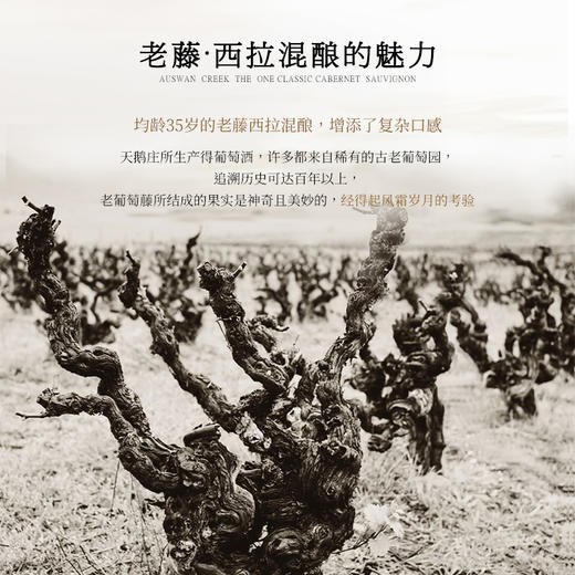【澳大利亚国会用酒】天鹅庄1号经典西拉赤霞珠 澳大利亚 13.5%vol 商品图9