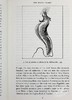 【中商原版】大卫 爱登堡 到世界另一边旅行 Journeys to the Other Side of the World 英文原版 David Attenborough 商品缩略图7