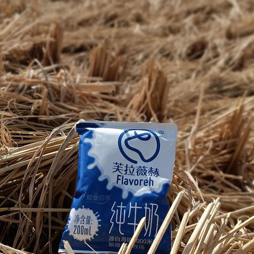 超欧标高端奶·新疆芙拉薇赫纯牛奶 江布拉克草原北纬45度黄金奶源地 商品图2