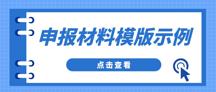 申报材料模版示例
