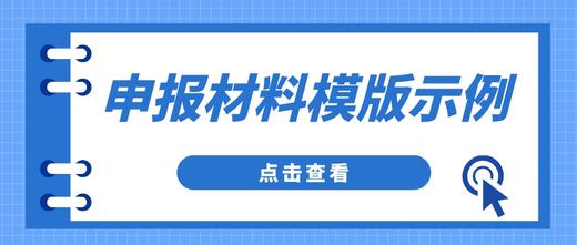 申报材料模版示例 商品图0