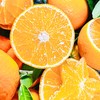【爱媛果冻橙5斤】| 果肉嫩如果冻，鲜嫩爆汁，可以吸的天然鲜橙，肉厚无渣，能徒手榨汁的果冻橙 商品缩略图3